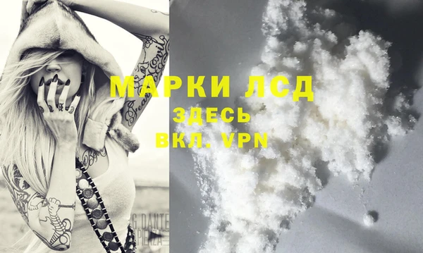 шишки Кодинск