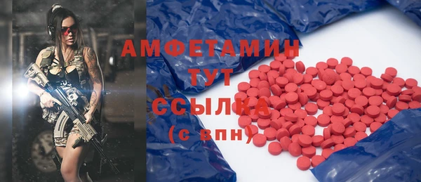 PSILOCYBIN Няндома