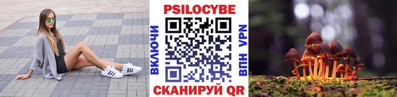 darknet как зайти  Кяхта  Псилоцибиновые грибы Psilocybine cubensis  продажа наркотиков 